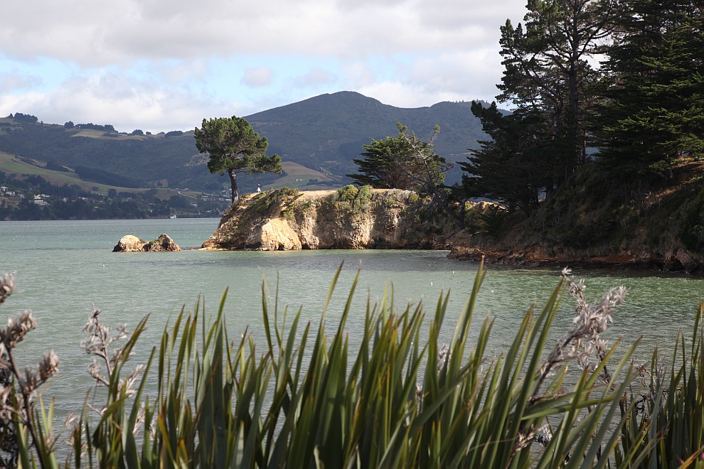Otago Habour